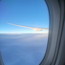 뉴질랜드 한국전 참 이미지