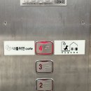 유폴 애견셀프목욕, 애견미용, 애견용품 직영점 이미지