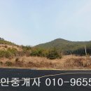 신지면-1 이미지