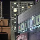 부산자갈치곰장어 | 부산 기장곰장어 본점 후기, 해운대 좌동시장 맛집 인정합니다