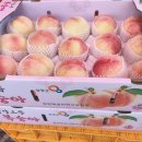 용천농원 이미지