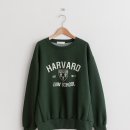 모모스튜디오 이미지