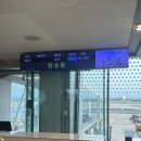 1264 | 대한항공 제주도 KE1049, KE1264 왕복 이용 후기