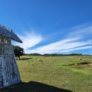 언덕마루 이미지