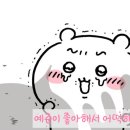 고슴도치 마을의 촌장🦔‎🤍#32 이미지