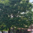 춘천LPG충전소 이미지