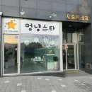 멍냥스타 강아지분양 고양이분양 | 의정부강아지분양 멍냥스타 눈이 동그랗고 귀여운 시츄 분양 후기