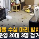 반려동물 수십 마리 방치…펫숍 운영 20대 3명 검거 / SBS 이미지