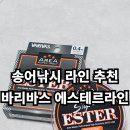 송어낚시 감도와 시인성이 좋은 바리바스 에스테르라인