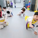 인성품태권도장 이미지