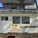 사파동214 이미지