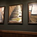 스타벅스 김해외동DT 이미지