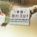 대학어린이집 이미지