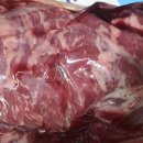 막내목장 이미지