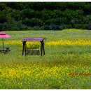 하늘정원2 이미지