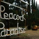 평팔농장 이미지