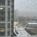 블루코코 컴퍼니 | 임신후기 일상-태동이 넘치는 일상