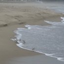 덕산 아라채 이미지