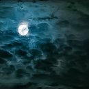 ★월침 삼경(月沈三更)★ 이미지