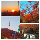 아름드리도서관 | 서울 단풍 명소 개장한지 얼마 안된 핫플레이스 남산 무장애길 하늘숲길에 다녀 왔어요