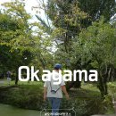 성은목장 | 일본 소도시 추천 오카아먀 쓰야마 마니와 여행코스