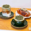 사월의물고기