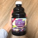 호기심으로 보는 세상 이미지