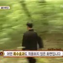 카페엘리에나