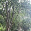 마이산청소년야영장 이미지