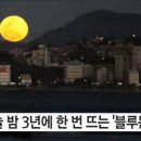 블루문 중앙일보