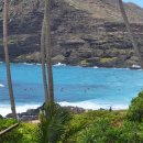 강재구기념관 공중화장실 | 자유여행] 오아후 마카푸우 포인트 렌트카 드라이브 코스: 숨겨진 비치 화장실 위치와 야생 닭의 비밀