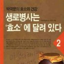 효소지음 이미지