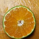 운상농장 이미지