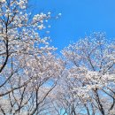 월아산 우드랜드 이미지