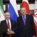 푸르고IM 이미지