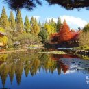경상남도 수목원 단풍절정 이미지