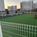 도그캐슬 강아지분양 다산점 | 진돗개 분양후기176: <도그베이 다산점 방문후기!>: 야외 애견놀이터, 소형/대형견 구역, 실내 애견카페...