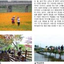 중앙로42번길 이미지