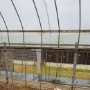 염소농장 이미지