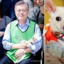 엘리스펫 이미지