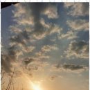 소나무황토펜션 이미지