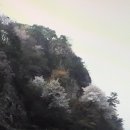 삼천궁녀 - 칠곡군 북중리2길 40 | 삼천궁녀