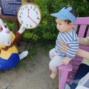 송추미가 이미지