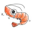 전주항장외과