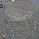 제선당한의원 이미지