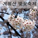 ☆ 계룡산 벚꽃축제 번개모임 안내 ☆ 이미지