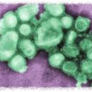 중추양계장 이미지