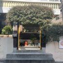 새대영당약국 | 스콘맛집부산대카페소사베이커리