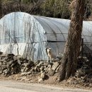 한옥;우연 | 완주 상관 가족여행으로 가기 좋은 애견동반 숙소 한옥, 우연