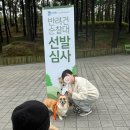 권선우남1차(아) | 2025 수원시 반려견 순찰대 지원+현장심사+합격 후기❤